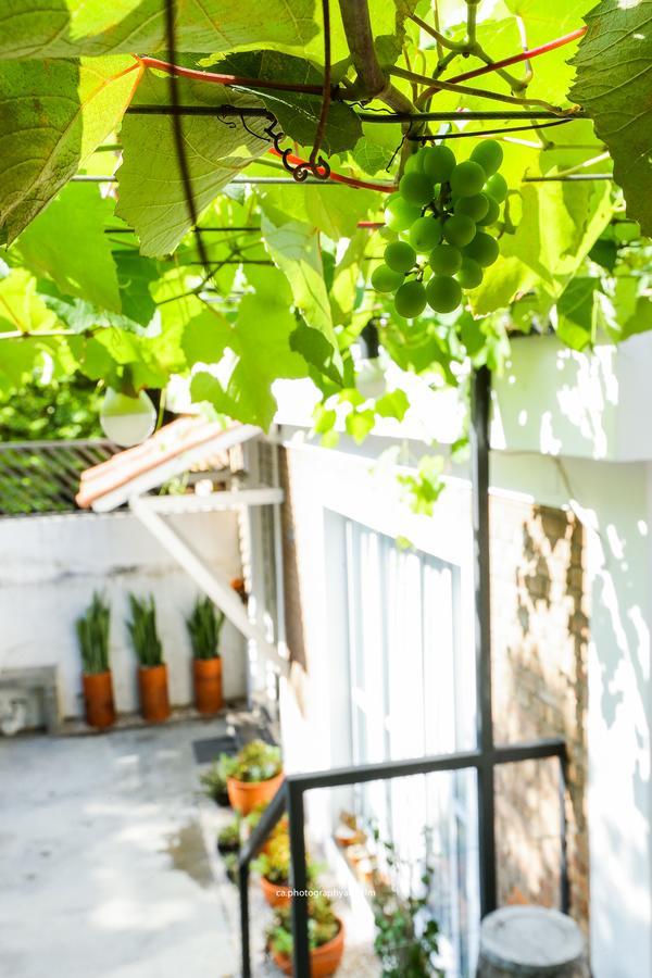 Grape Wine São Paulo