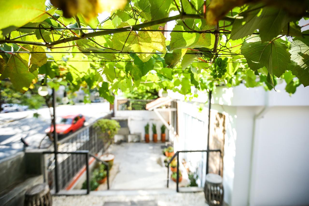 Albergue Grape Wine